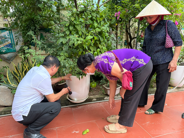 Chủ động diệt bọ gậy, phòng ngừa dịch sốt xuất huyết bùng phát sau mưa lũ- Ảnh 1.