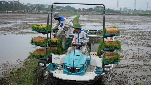 Gia tăng hiệu quả sản xuất nhờ ứng dụng mạ khay, cấy máy tập trung- Ảnh 1.