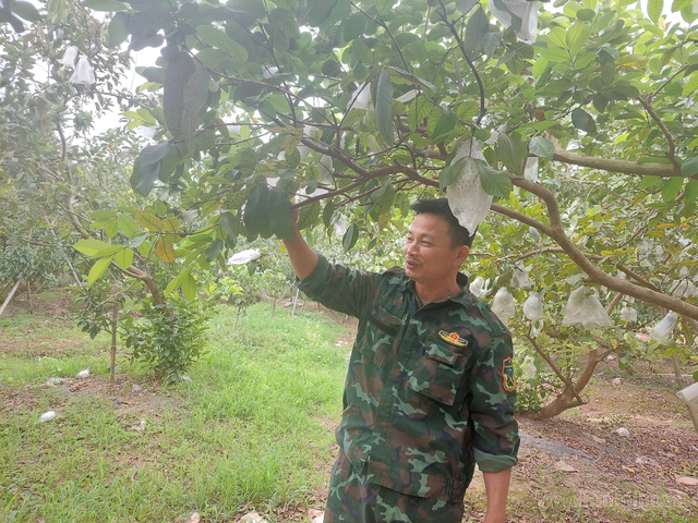Đồng hành cùng nông dân sản xuất gắn với bảo vệ môi trường- Ảnh 1.