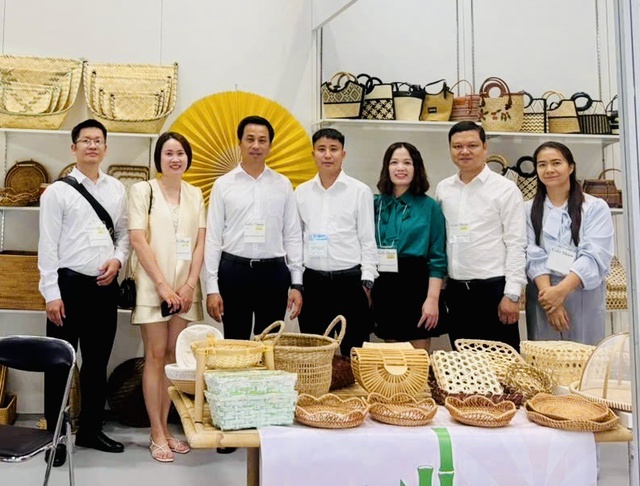 Hà Nội quảng bá, xúc tiến hàng thủ công mỹ nghệ tại thị trường Nhật Bản- Ảnh 2.