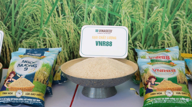 Ứng dụng chuyển đổi số quản lý an toàn thực phẩm: Từ chuyển rủi ro sang bảo vệ chủ động- Ảnh 2.