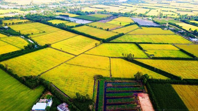 Ha Noi seeks to strengthen role as regional growth hub - Ảnh 10.
