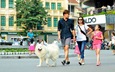 No pets allowed at Hoan Kiem walking zone from May 27