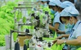 Ha Noi targets to cut 30% of red tape to support businesses