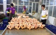 Tăng cường quản l&#253; giết mổ v&#224; ti&#234;u thụ sản phẩm động vật đến năm 2030
