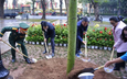 Hà Nội hưởng ứng phong trào ‘Tết trồng cây đời đời nhớ ơn Bác Hồ’, lan tỏa ý thức bảo vệ môi trường