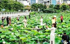 Lotus tourism: A new path to restructure urban agriculture and tourism