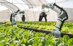 Digital technology – An inevitable trend in Ha Noi’s agricultural production