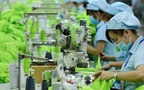 Ha Noi targets to cut 30% of red tape to support businesses