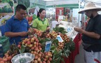 Đưa tr&#225;i c&#226;y, n&#244;ng sản an to&#224;n đến với người d&#226;n Thủ đ&#244;