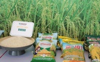 Bảo đảm nguồn cung nông sản, thực phẩm thiết yếu