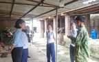 Các địa phương phấn đấu đến 30/6 dừng cơ sở giết mổ nhỏ lẻ