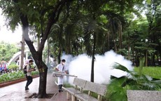 Tích cực, chủ động các biện pháp phòng chống dịch sốt xuất huyết