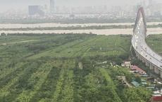 Chủ tịch TP. Hà Nội yêu cầu tăng cường kiểm soát, đảm bảo an toàn khai thác cầu