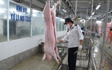 Xử lý dứt điểm cơ sở giết mổ gia súc, gia cầm nhỏ lẻ, tự phát