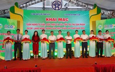 Giới thiệu, quảng bá sản phẩm an toàn đến cư dân nội đô