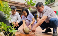 Ghi nhận gần 400 ca mắc sốt xuất huyết trong 1 tuần