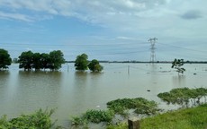 Lũ trên sông Cầu và sông Cà Lồ đang ở mức đặc biệt lớn