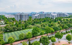 Th&#250;c đẩy ph&#225;t triển đ&#244; thị xanh, th&#244;ng minh vận h&#224;nh bằng AI