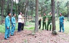 Quỹ Bảo vệ v&#224; Ph&#225;t triển rừng: Tạo nguồn lực mới cho mục ti&#234;u ph&#225;t triển &#39;l&#225; phổi xanh&#39;