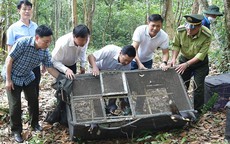 Y&#234;u cầu nh&#224; h&#224;ng k&#253; cam kết kh&#244;ng ti&#234;u thụ động vật hoang d&#227;