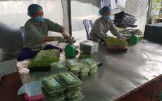 Chế biến, bảo quản tại nguồn – Mắt x&#237;ch then chốt của chuỗi n&#244;ng nghiệp an to&#224;n