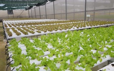 Minh bạch nguồn gốc – nền tảng bảo đảm an to&#224;n thực phẩm