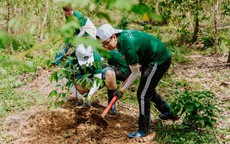 Hà Nội phát động Tết trồng cây Xuân Bính Ngọ, tăng cường quản lý, bảo vệ rừng