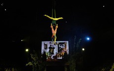 Khi di sản tranh dân gian Đông Hồ được kể bằng ngôn ngữ xiếc hiện đại