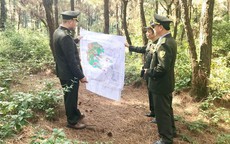 B&#224;n giao c&#244;ng t&#225;c quản l&#253;, bảo vệ v&#224; PCCCR rừng về cấp x&#227; từ ng&#224;y 1/12