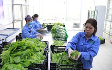 Truy xuất nguồn gốc n&#244;ng sản: Cần cơ chế x&#225;c nhận linh hoạt từ cấp cơ sở