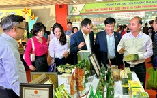 Trao công nhận làng nghề, chứng nhận sản phẩm OCOP Thành phố năm 2024