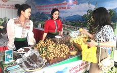 Tạo chuỗi kết nối cung cầu, đẩy mạnh tiêu thụ hàng Việt