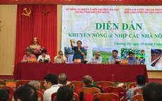 'Tiếp sức' kỹ thuật cùng nông dân sản xuất