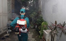 Bước v&#224;o chu kỳ sốt xuất huyết c&#243; thể tiếp tục gia tăng