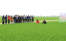Sáng tạo, đổi mới phát triển nền nông nghiệp xanh và quản lý tài nguyên hiệu quả