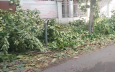 Mưa lớn c&#243; thể g&#226;y sạt lở đất, ngập &#250;ng đ&#244; thị