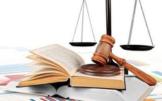 Triển khai thi hành Luật sửa đổi, bổ sung một số điều của Luật Xử lý vi phạm hành chính