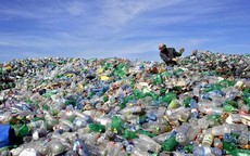 H&#224; Nội h&#224;nh động quyết liệt v&#236; một tương lai kh&#244;ng r&#225;c thải nhựa