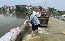 Xử lý tiêu úng, đắp chống tràn khôi phục sản xuất ổn định đời sống nhân dân