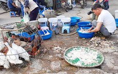 Hà Nội xử lý dứt điểm chợ tự phát và giết mổ nhỏ lẻ trong năm 2025