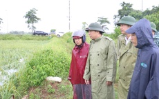 Mực nước s&#244;ng T&#237;ch đ&#227; tr&#234;n mức b&#225;o động 2