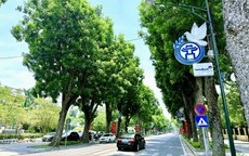 Hà Nội sẽ trồng hơn 400.000 cây xanh trong năm 2026