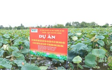 Tái định hình trồng trọt, mở đường cho nông sản Thủ đô bứt phá