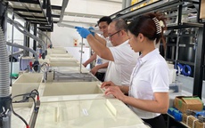 Nhiều chính sách phát triển công nghiệp hỗ trợ