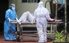 Sẵn sàng phòng chống dịch bệnh Nipah