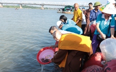 Thả cá tái tạo nguồn lợi thuỷ sản