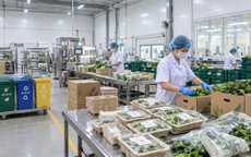 Phát triển nông nghiệp tiêu dùng xanh- bảo vệ môi trường, thân thiện, hiệu quả