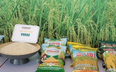 Bảo đảm nguồn cung nông sản, thực phẩm thiết yếu