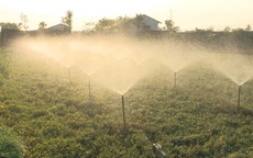 Xây dựng nông thôn mới: Nền tảng vững chắc phát triển kinh tế nông thôn